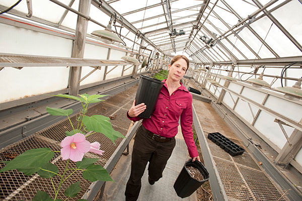 A woman in a greenhouse.