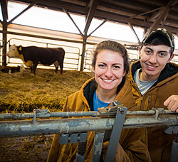 Students in cow barn.